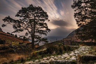 Stone path with trees and hilly landscape with dramatic sky