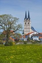 Spring meadow in front of the pilgrimage church St. Maria Himmelfahrt in Tuntenhausen