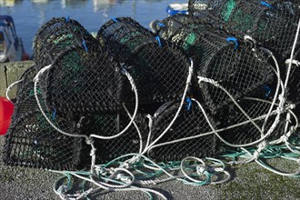 Crab fishing net