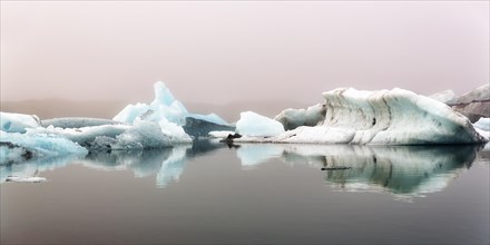 Icebergs in the morning light