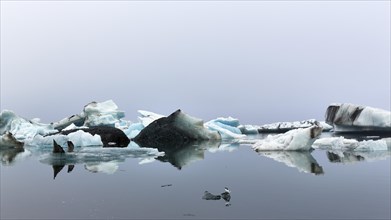 Icebergs in fog