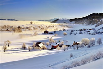 Snow-covered winter landscape with morning fog