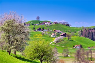 Houses in hilly landscape near the village Hutten in spring