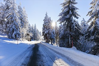 Snow-covered road to Hornisgrinde