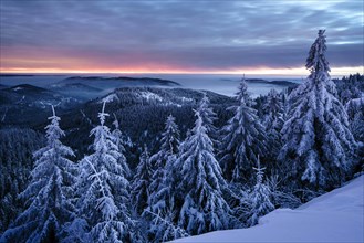 Winter dawn on the Hornisgrinde