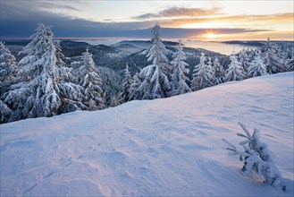 Sunrise on the Hornisgrinde