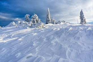 Wintery morning atmosphere on the Hornisgrinde