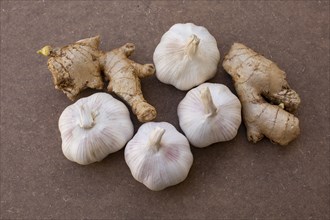 Garlic and ginger spices