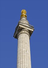 Monument to the Great Fire of London