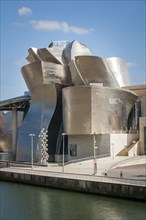 Guggenheim Museum Bilbao on the bank of the Nervion River