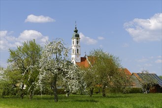 Pilgrimage church Steinhausen