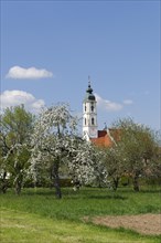 Pilgrimage church Steinhausen