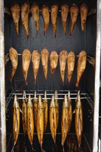 Smoked fish in a smoker