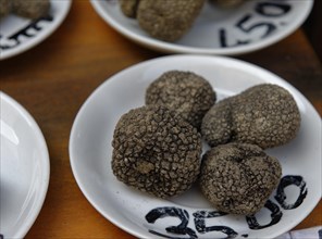 Black truffles in delicatessen shop