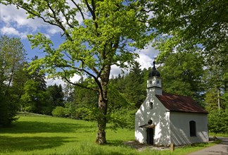 Schonmuhl Chapel