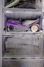 Ice freezer