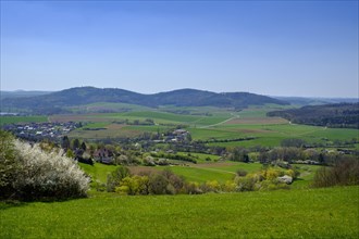 View of the Main valley in spring