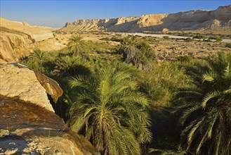 Limestone canyon of Wadi Shuwaymiyah