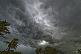 Dark clouds at tropical Storm