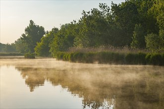 Morning fog over a pond
