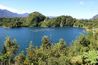 Fish farming in the Reloncavi Fjord