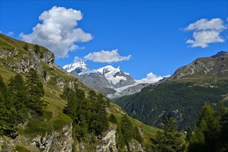 In the hiking area Zermatt