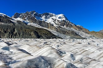 Breithorn mountain above the ice field of the Gorner glacier