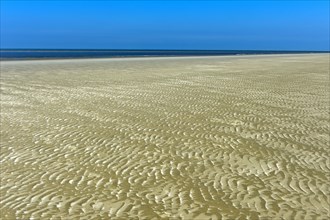 Ripples formed by wind and tidal currents in the sand in the mudflats