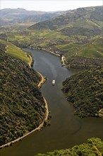 Excursion boat on the Douro River near Sao Joao da Pesqueira