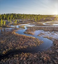 Drone shot