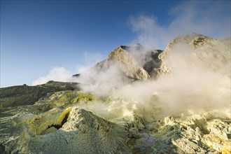 Yellow sulphur and fumarole on the volcanic island of White Island