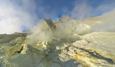 Yellow sulphur and fumarole on the volcanic island of White Island