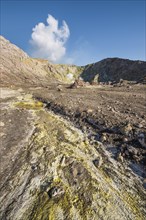 Yellow sulphur and fumaroles on the volcanic island of White Island