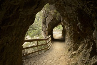 Old way with tunnel to the tunnels of the gold diggers on the Coromandel Peninsula