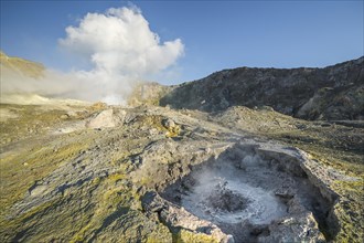 Geyser and fumaroles on the volcanic island White Island