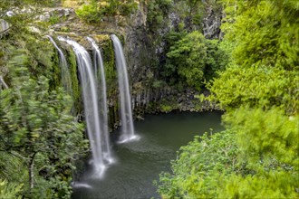 Waterfall Whangarei Falls
