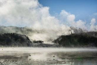 Fog and steam from hot springs at Lake Ohakuri