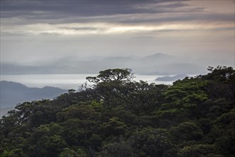 View from Santa Elena to tropical vegetation