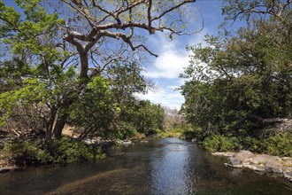 River course to the waterfall Llanos de Cortes