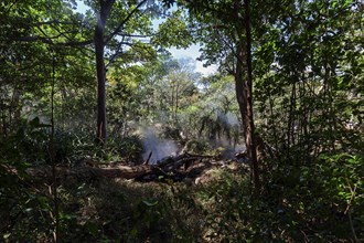 Steaming Fumaroles in the Rainforest of the National Park Rincon de la Vieja