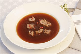 Oxtail soup with red pepper in soup plate