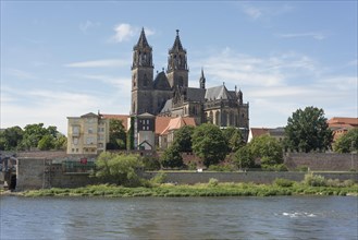 Magdeburg Cathedral with Elbe