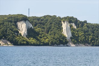 Chalk cliffs Konigsstuhl