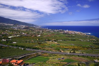 View over Orotava Valley
