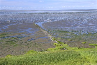 Low tide at the Wadden Sea