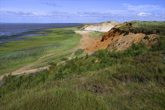 Morsum Cliff along the coast