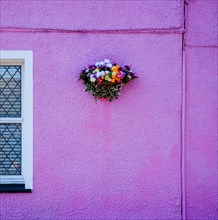 Flowers hanging on pink house facade