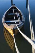Rowing boat with oars