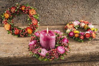 Three small autumn wreaths on wooden plate bonded with rosehip (Rosa canina)
