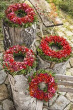 Four autumn wreaths on birch trunks